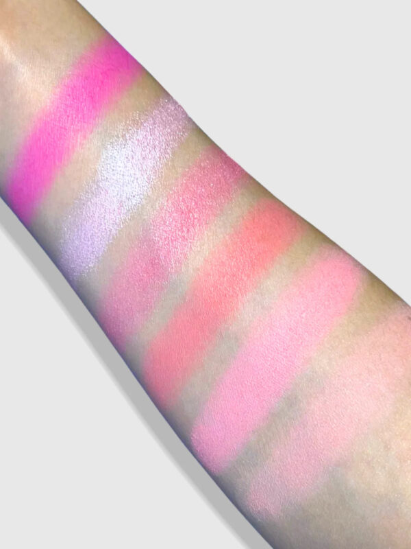 Cattitude palette - Image 3